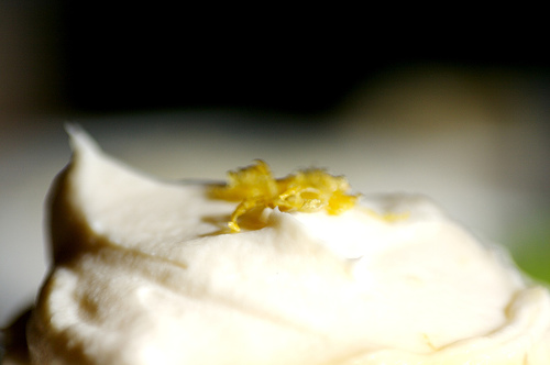 vanilla bean & lemon cupcakes with lemon vanilla cream cheese frosting!