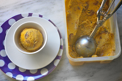 Pumpkin Gingersnap Ice Cream