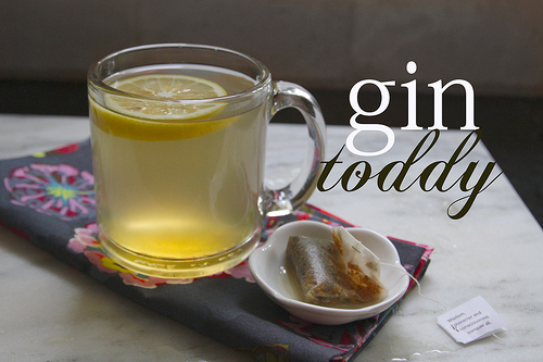 Gin Toddy