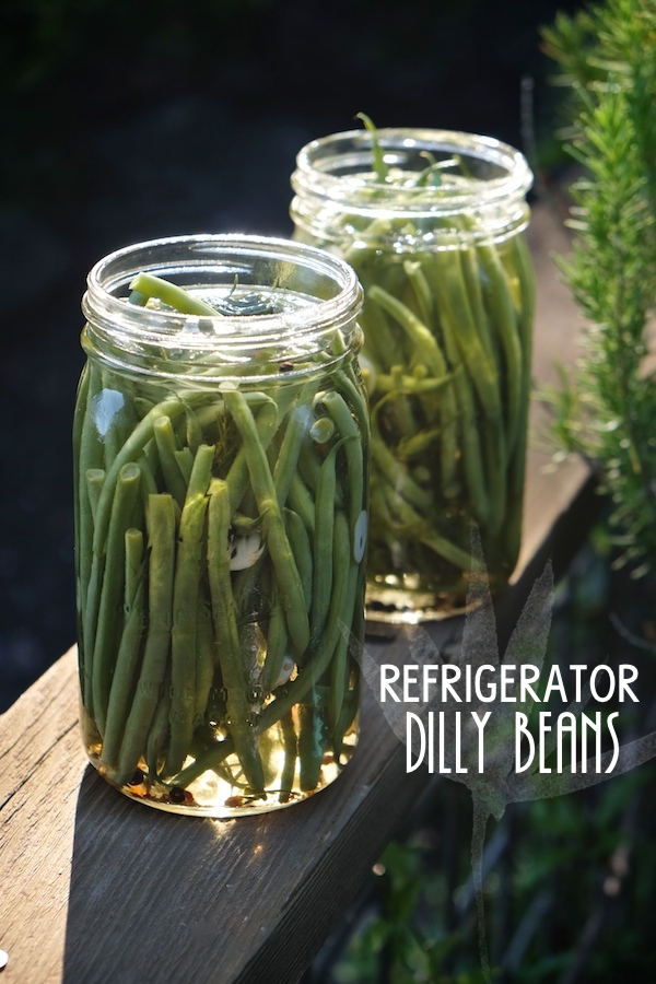 Make a quick batch of Refrigerator Dilly Beans in no time! They're perfect for Bloody Mary's , snacks and salads. Find the recipe at Shutterbean.com !