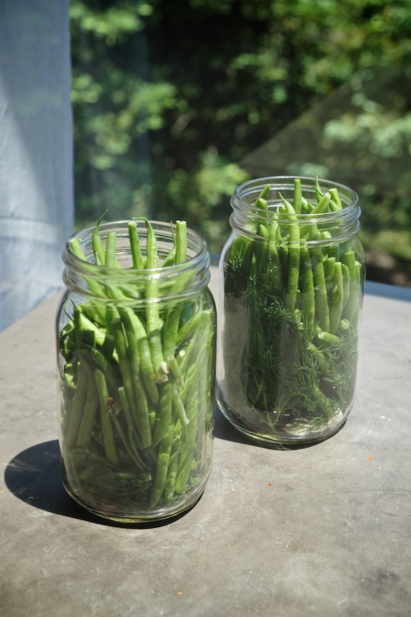 Refrigerator Dilly Beans // shutterbean