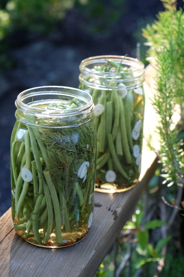 Refrigerator Dilly Beans // shutterbean