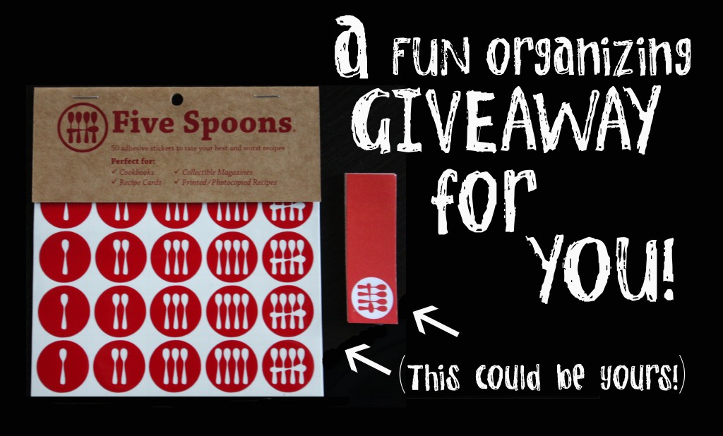 Organizing GIVEAWAY from Five Spoons!