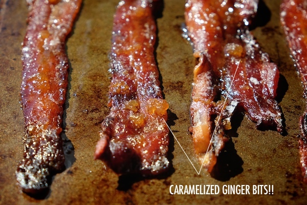 Candied Ginger Bacon // shutterbean