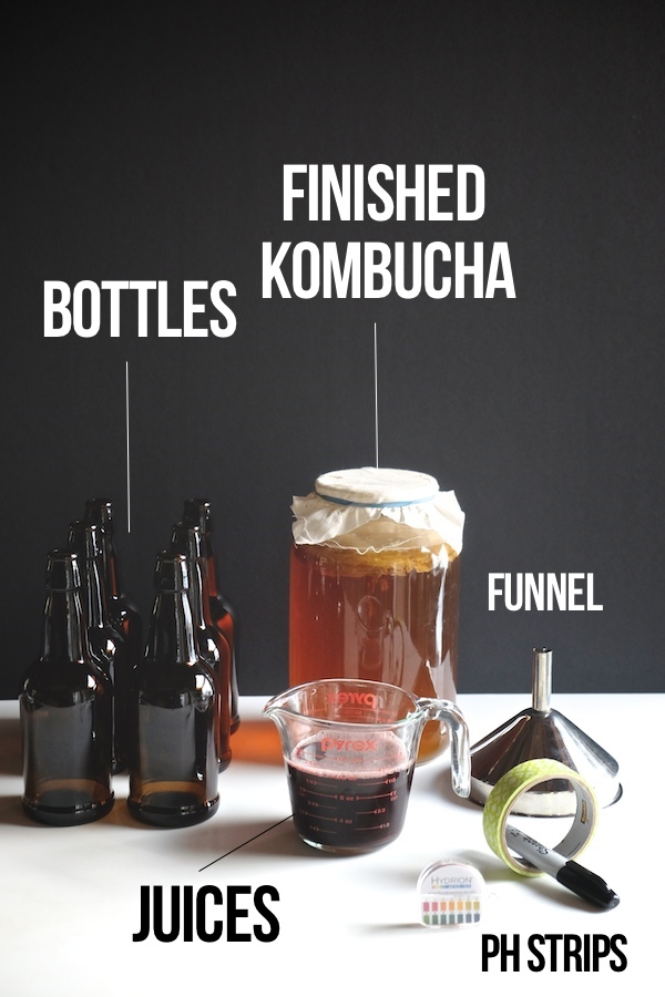 DIY Kombucha // shutterbean