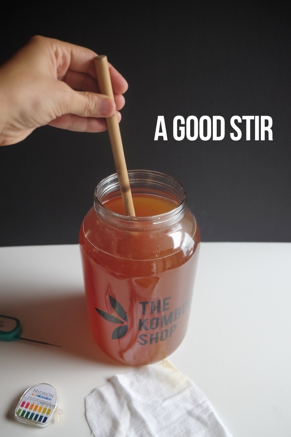 DIY Kombucha // shutterbean