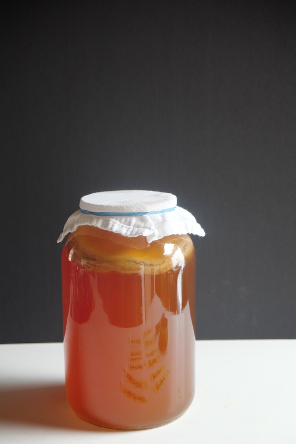 DIY Kombucha // shutterbean