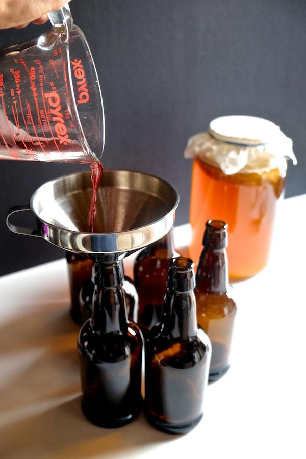 DIY Kombucha // shutterbean