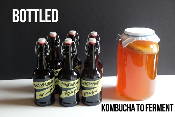 DIY Kombucha // shutterbean