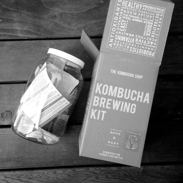 DIY Kombucha // shutterbean