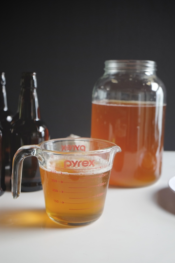 DIY Kombucha // shutterbean