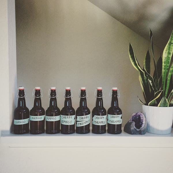 DIY Kombucha // shutterbean