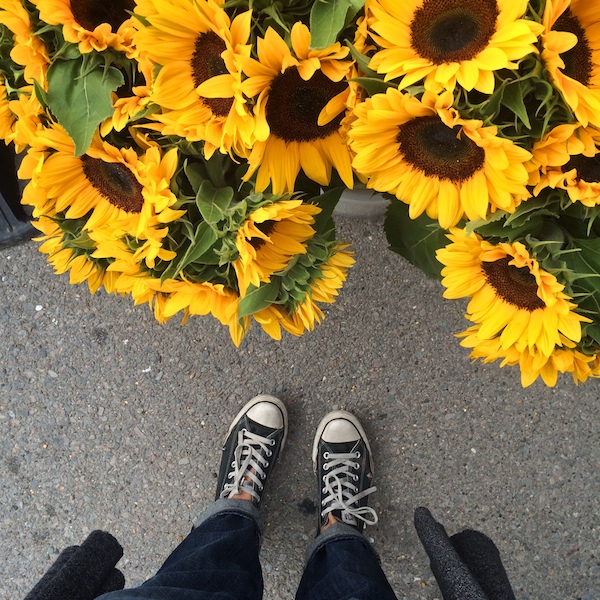 My Everyday Life: Week 27
