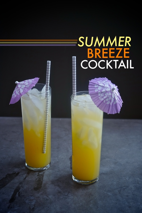 Summer Breeze Cocktail - Shutterbean