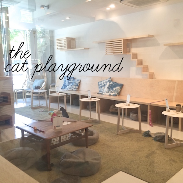 Out & About : Kit Tea SF // shutterbean