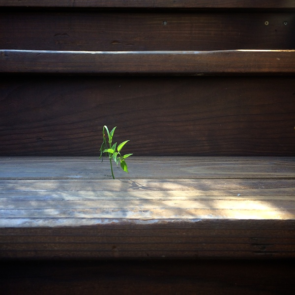 myeverydaylife32 || shutterbean (14)