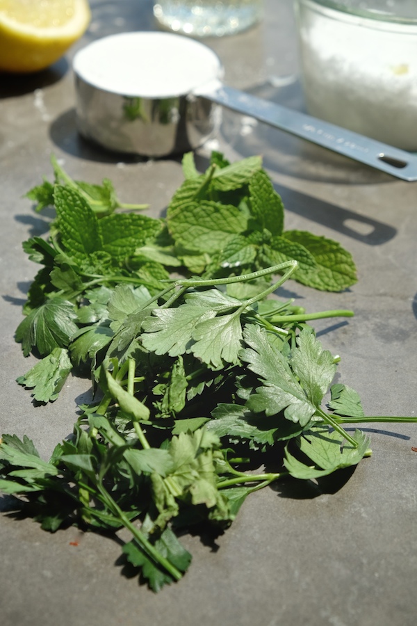 Check out the recipe for the most delicious Zucchini Herb Fritters with Garlic Yogurt Dip on Shutterbean.com!