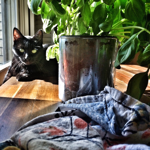 My Everyday Life: Week 42