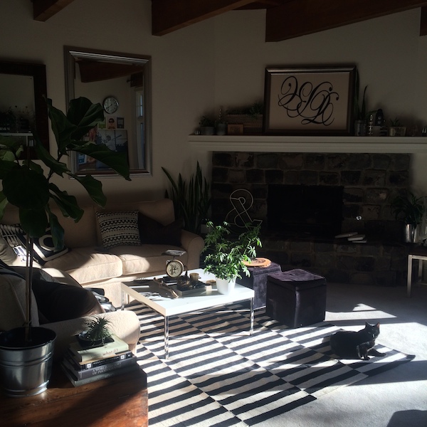 My Everyday Life - Week 44 // shutterbean