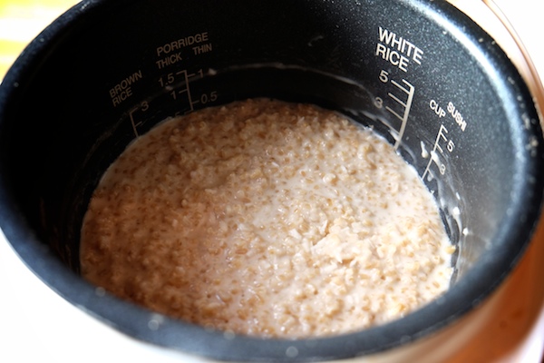 Coconut Steel Cut Oats made with coconut milk in the rice cooker! Find the recipe on Shutterbean.com!