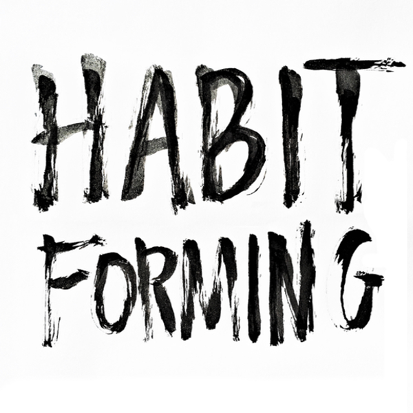 Habit Forming for 2016  on Shutterbean.com