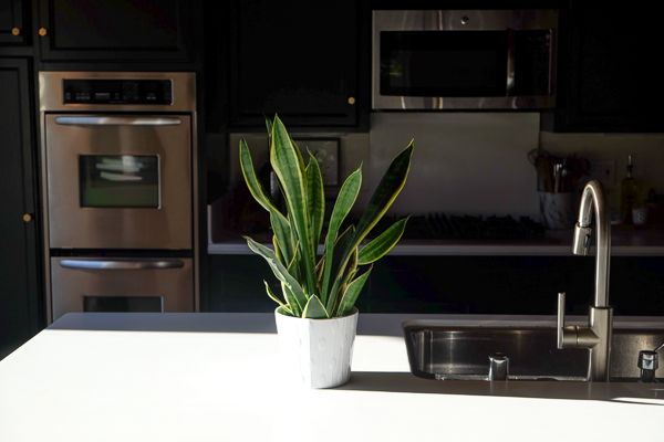 See how Tracy of Shutterbean transforms her taupe kitchen cabinets to BLACK. Around the House: The Kitchen After photos are on Shutterbean.com!