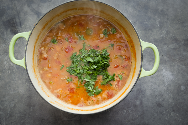 Turkey White Bean Chili for those long winter nights! Find the recipe on Shutterbean.com