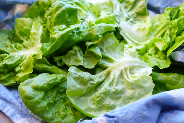 Chicken Lettuce Cups are a healthy low carb dinner option that comes together so easily. Find the recipe at Shutterbean.com!