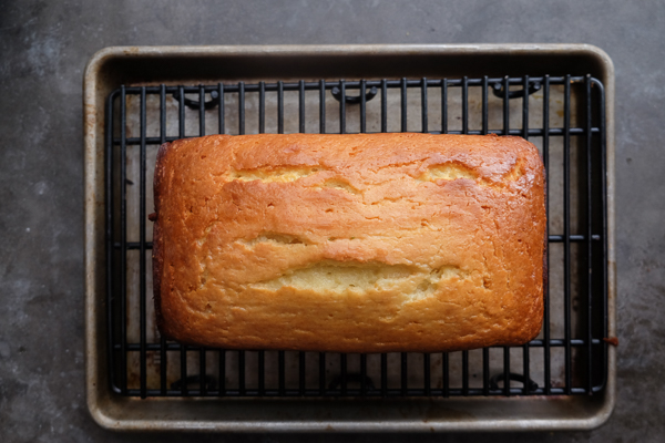 This Grapefruit Yogurt Cake tastes like a citrus crumb doughnut. Find the recipe on Shutterbean.com