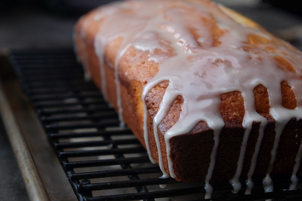 This Grapefruit Yogurt Cake tastes like a citrus crumb doughnut. Find the recipe on Shutterbean.com