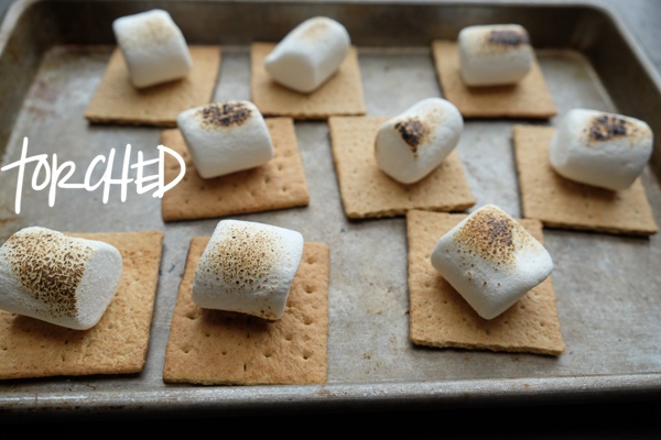 Cold weather got you down? Create a fun Indoor S'mores Party with Tcho Chocolate. More on Shutterbean.com!