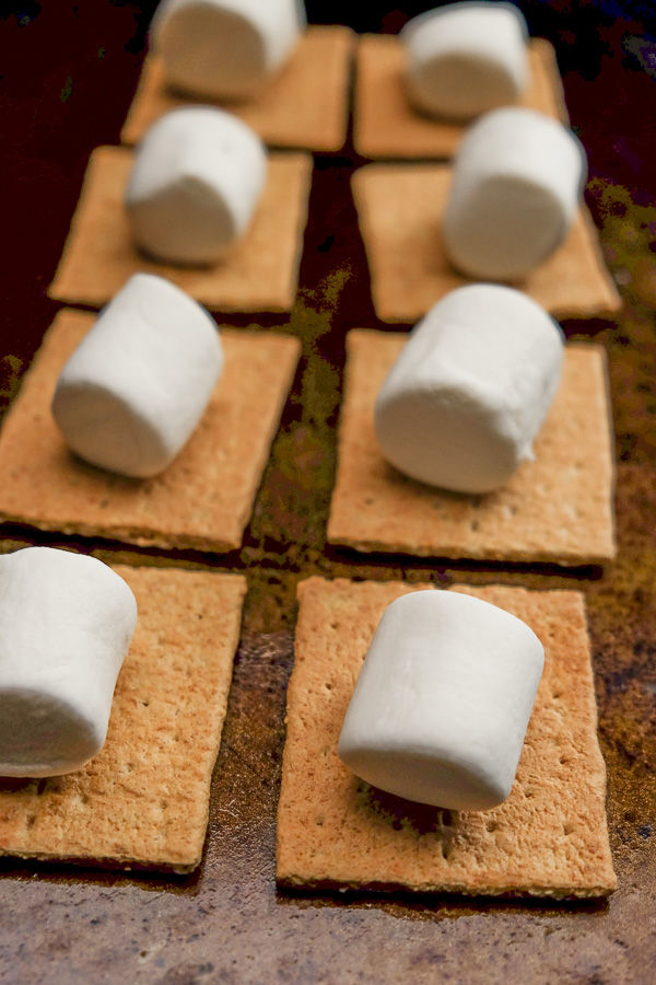 Cold weather got you down? Create a fun Indoor S'mores Party with Tcho Chocolate. More on Shutterbean.com!