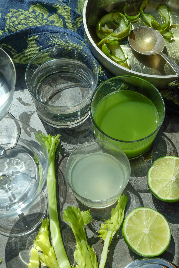 A refreshing Celery Gimlet made with a combination of celery, gin & lime. Find the recipe on Shutterbean.com