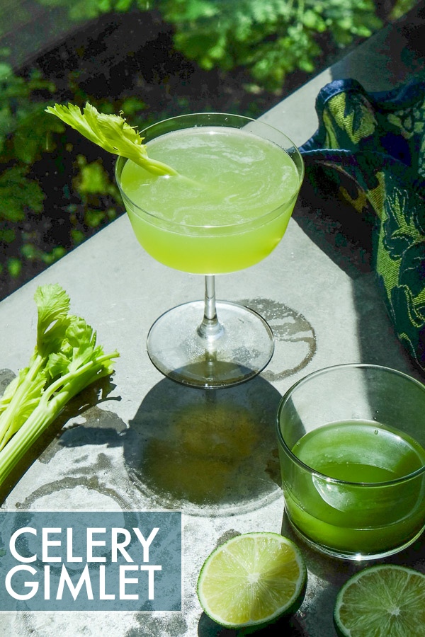 A refreshing Celery Gimlet made with a combination of celery, gin & lime. Find the recipe on Shutterbean.com