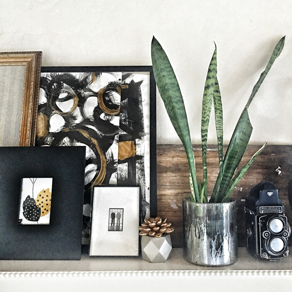 Around the House - Summer 2016 on Shutterbean.com