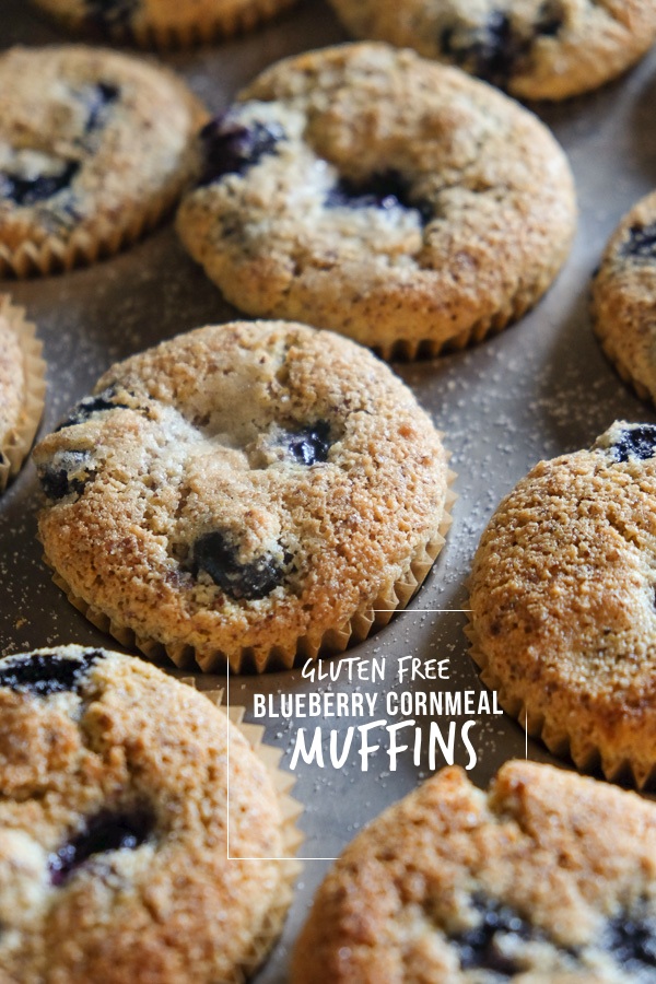 Gluten Free Blueberry Cornmeal Muffins