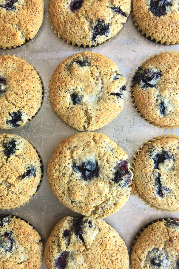 Gluten Free Blueberry Cornmeal Muffins for your weekday breakfasts. Find the recipe on Shutterbean.com!