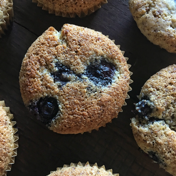 Gluten Free Blueberry Cornmeal Muffins for your weekday breakfasts. Find the recipe on Shutterbean.com!