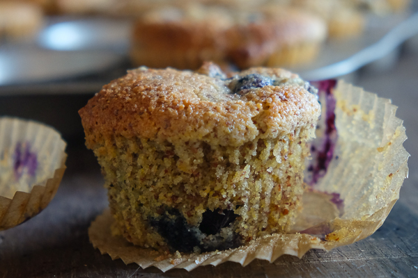 Gluten Free Blueberry Cornmeal Muffins for your weekday breakfasts. Find the recipe on Shutterbean.com!