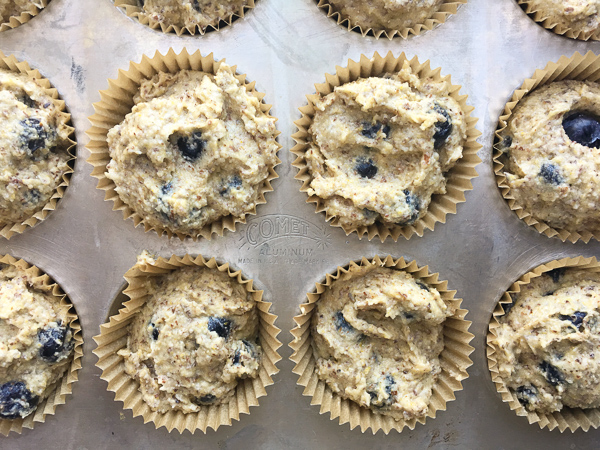 Gluten Free Blueberry Cornmeal Muffins for your weekday breakfasts. Find the recipe on Shutterbean.com!