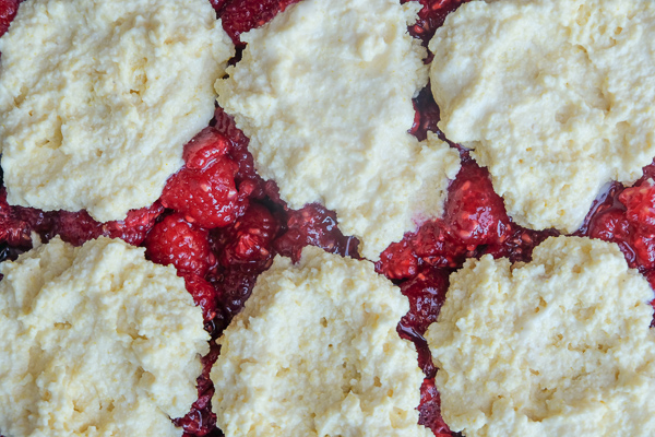 Raspberry fans! This Raspberry Cornmeal Cobbler is for YOU! Check out the recipe on Shutterbean.com