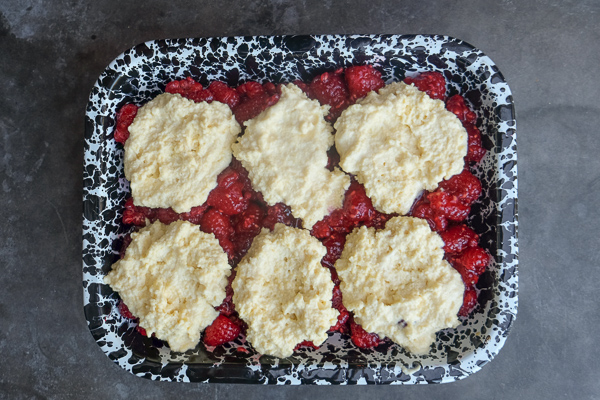 Raspberry fans! This Raspberry Cornmeal Cobbler is for YOU! Check out the recipe on Shutterbean.com