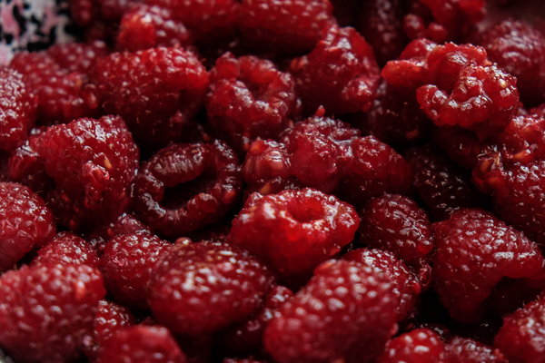 Raspberry fans! This Raspberry Cornmeal Cobbler is for YOU! Check out the recipe on Shutterbean.com