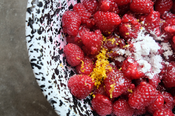 Raspberry fans! This Raspberry Cornmeal Cobbler is for YOU! Check out the recipe on Shutterbean.com