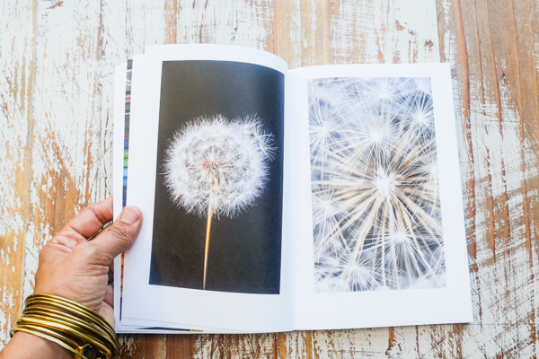 Making your own photo book with Blurb! Check out My Everyday Life - Summer 2016 on Shutterbean.com