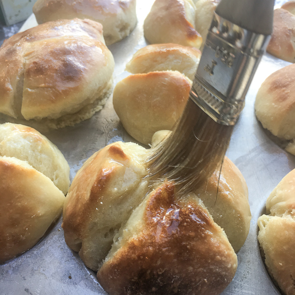 No Knead Cloverleaf Rolls should be in your baking repertoire! Find the recipe on Shutterbean.com
