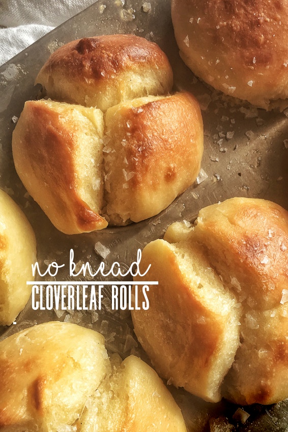 No Knead Cloverleaf Rolls should be in your baking repertoire! Find the recipe on Shutterbean.com