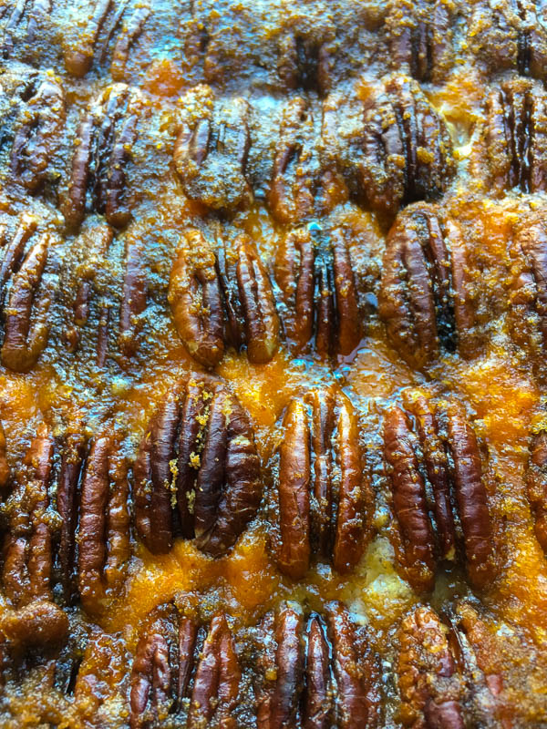 Pecan Topped Sweet Potatoes for a traditional Thanksgiving Feast! Find the recipe on Shutterbean.com