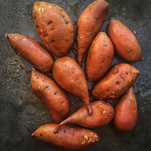 Pecan Topped Sweet Potatoes for a traditional Thanksgiving Feast! Find the recipe on Shutterbean.com