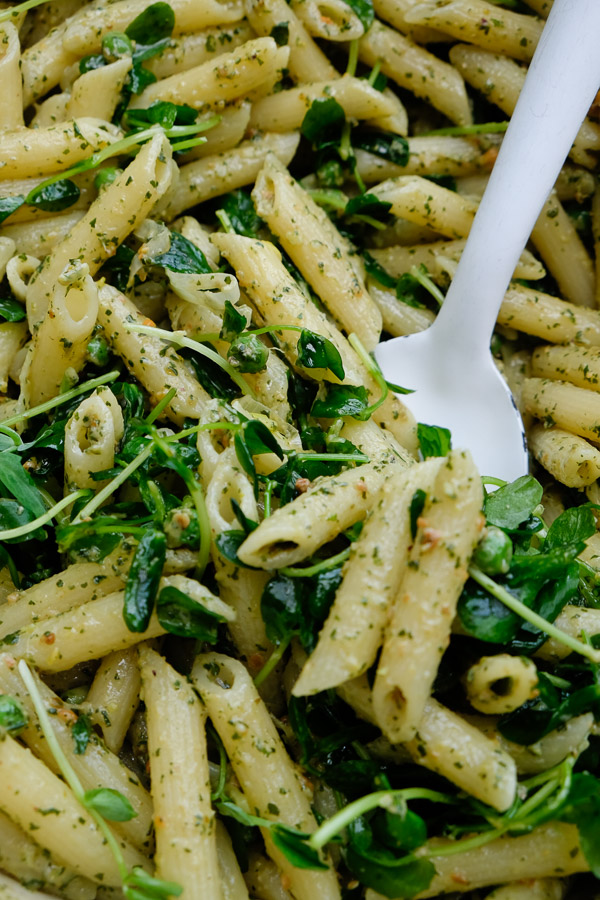 Celebrate Spring goodness with a bowl of Penne with Pistachio Mint Pesto. Find the recipe on Shutterbean.com